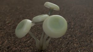 MARDINI 2021 Daily. Day02. Motion: Grow