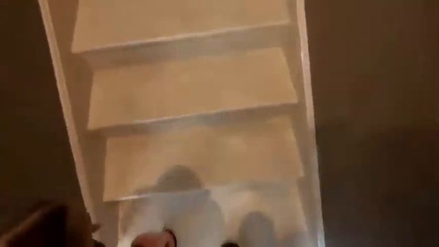 Один день из жизни центра MADONNA family club смотреть онлайн