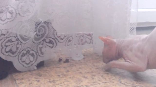 Храбрость (bravery) смотреть онлайн