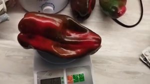 Перец сладкий Помпео F1