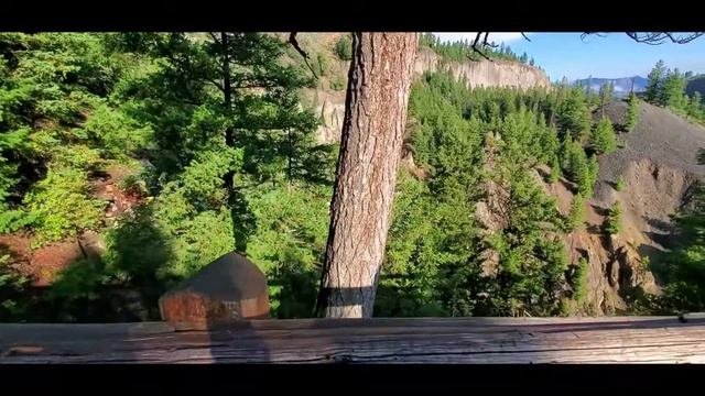 #2-1 Живность и Гранд Каньон Йеллоустонского национального парка