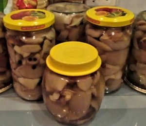 Маслята маринованные  ГРИБЫ НА ЗИМУ.