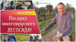 Посадка многоярусного лесосада! Эрнст Гётч