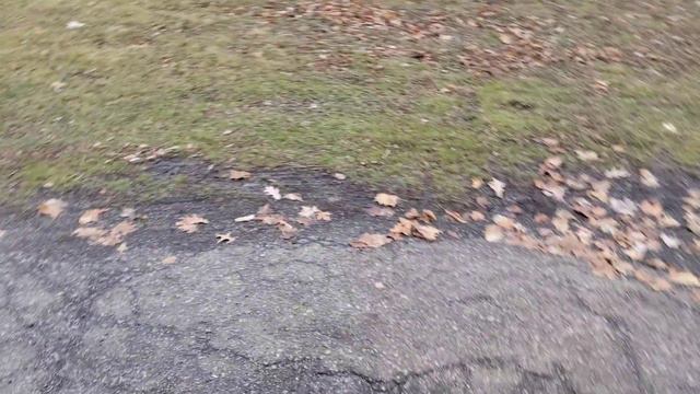 1995 Mitsubishi Delica Crystal Lite Roof смотреть онлайн