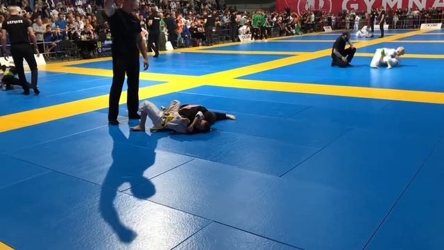 19.05.2018 Гимназиум 1