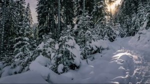 Сергей Есенин.  Пороша.  Стихи.  Онлайн театр из Екатеринбурга