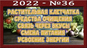 Питательные вещества. Какое питание является здоровым? Клетчатка очищает? Вкусовое наслаждение.