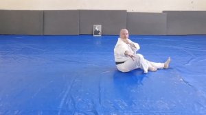 страховки укеми падения айкидо ёсинкан aikido yoshinkan