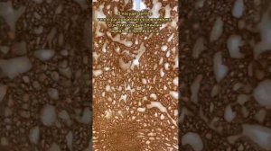 Тесто для блинов с миксером #mixSy  и  вкусные блины в сковороде #Zepter