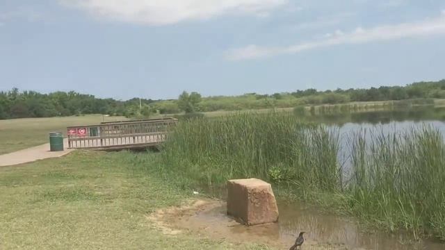 Где пожарить шашлыки в Америке смотреть онлайн