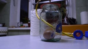 Опыты с вакуумом: ЯЙЦО