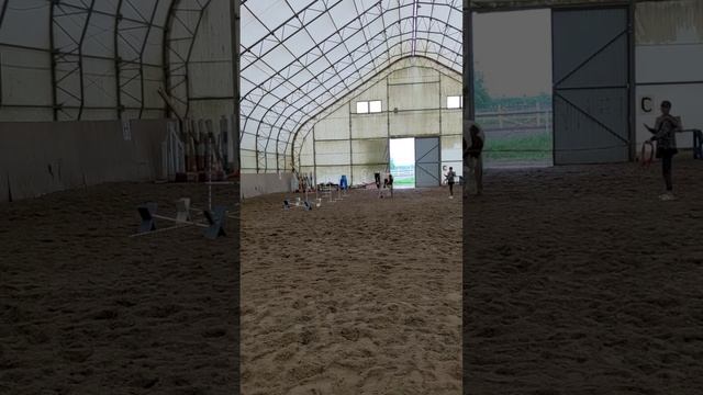 Немножко сегодня в манеже. Погода - на улице дождь. ?