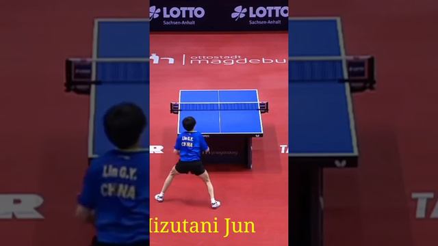 Mizutani Jun 1