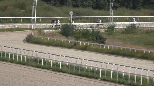 09.09.2018 - 7 Скачка на лошадях 2-х лет ахалтекинской породы - Пульхатын смотреть онлайн