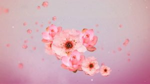 Футаж ЦВЕТОЧНЫЙ -4 Floral Footage-4