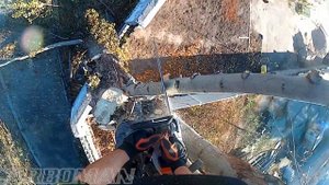 Обрезка тополя Cutting up a poplar