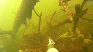 Где ловить судака зимой, что влияет на клев судака ?