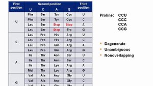 Genetic Code Features.mp4