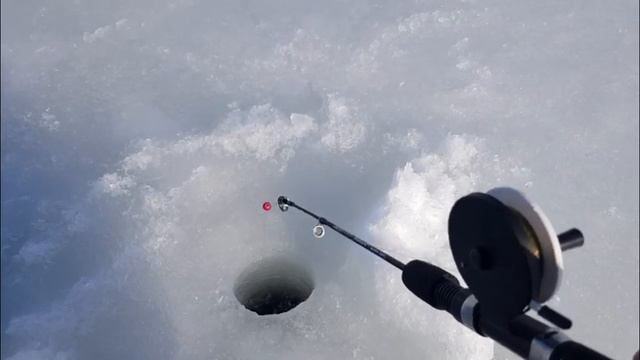 Рыбалка в марте на Берша и Леща и Густеру. смотреть онлайн