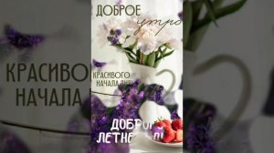 доброе летнее утро