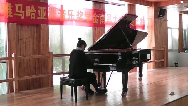 Qin Hong's Piano Peformance (2) смотреть онлайн