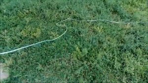 бредень хамельон переделка.бредень своими руками