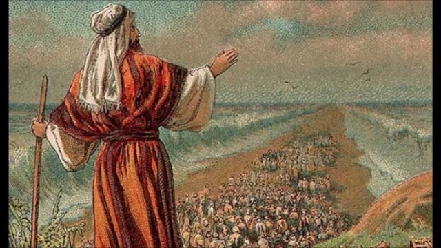 Хофец Хаим. Почему не стоит гневаться? смотреть онлайн