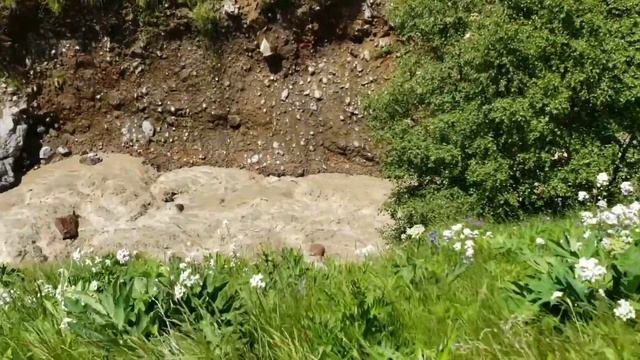 Урочище Джилы-су. Кабардино-Балкария