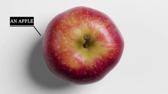 AN APPLE