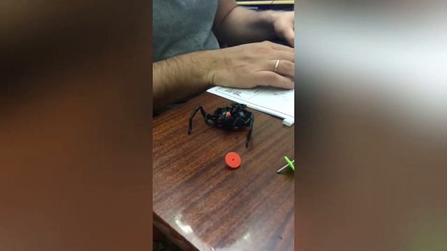 Как мы собирали робота паука, или чем заняться на карантине смотреть онлайн