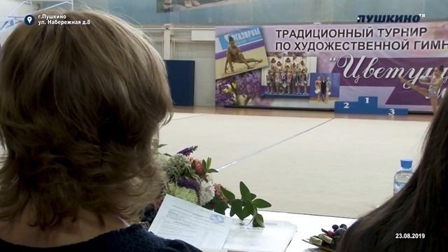Открытое первенство по художественной гимнастике в Пушкино смотреть онлайн