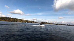 Первый сезон на своей лодке на Пироговском водохранилище