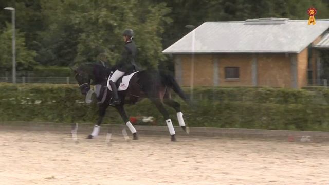 2 Quel Plaisir v. Quadroneur - Samba Hit смотреть онлайн