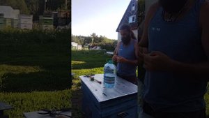 СУРИЦА на травах. Пошаговый рецепт. Напиток предков
