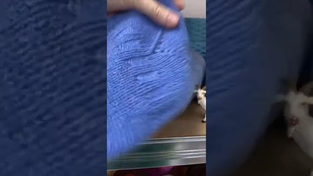 Наталья Кудинова Коззко Пряжа в прямом эфире. Гуляем по магазину пряжи в Белграде смотреть онлайн