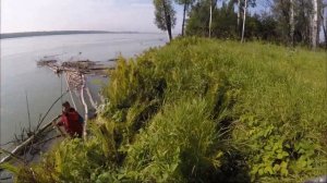 Рыбалка на Оби спиннингом в дремучем коряжнике с берега