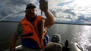 Встреча с друзьями. Озеро Пено. Рыбалка на троллинг.  Судак щука.