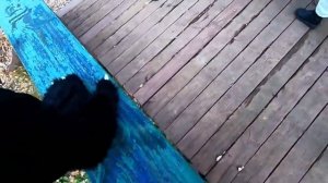 Фурри прогулка в Москве(перемонтаж)