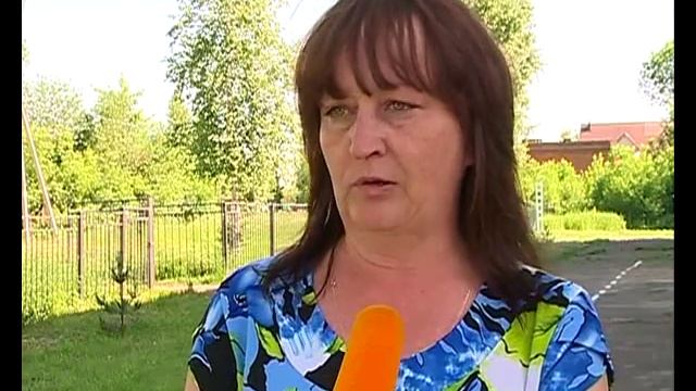 Ясеневая шпанка пожирает деревья смотреть онлайн