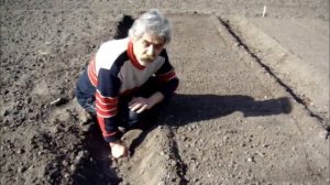 Грядки высокие или низкие 2021 год