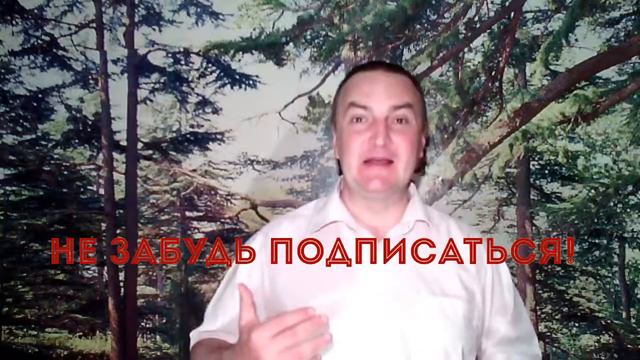 КАК ПОСТРОИТЬ ДОМ?ДОМ,ДОМ...МОЙ ДОМ! смотреть онлайн