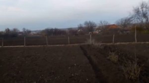 Сеять люцерну в ноябре.