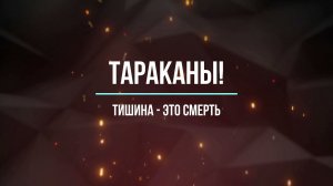 Тараканы! - Тишина - это смерть. (Guitar cover)