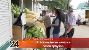 Арбузы и дыни на рынке Нижнекамска прошли проверку на содержание нитратов