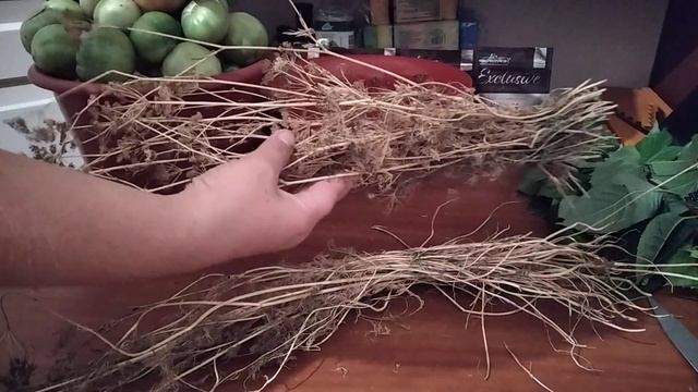 КВАШЕНЫЕ ЗЕЛЕНЫЕ ПОМИДОРЫ С ЧЕСНОКОМ И ЗЕЛЕНЬЮ НА ЗИМУ БЕЗ ЗАМОРОЧЕК!