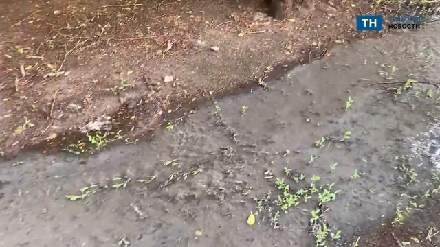 По ул Мориса Тореза течет «пахучий» ручей смотреть онлайн