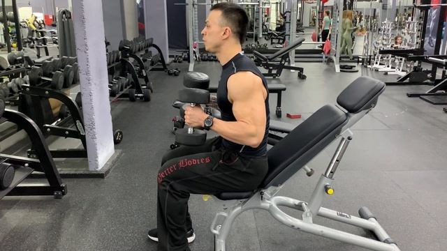 Молотки на бицепс сидя одновременно смотреть онлайн