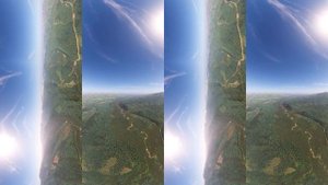 Оценка состояния лесных ресурсов