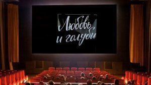 ЛЮБОВЬ И ГОЛУБИ:  НАЗВАНИЕ ФИЛЬМА
