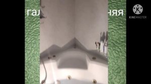 Сравнение ламп G4 12V для люстр